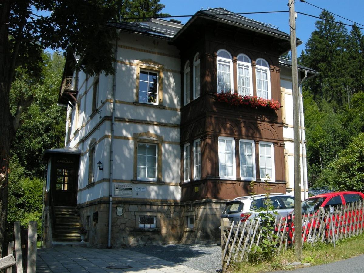 Villa Angelika Altenberg  Exterior foto